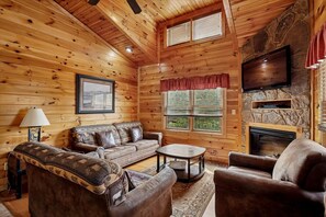 TV, fireplace, video games