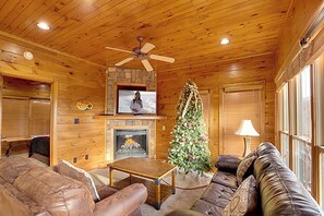TV, fireplace, video games