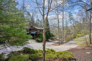 A cabin with a green roof, surrounded by trees and a paved driveway.