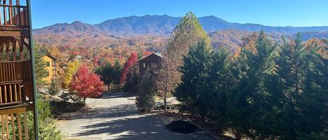 Uitzicht vanuit accommodatie