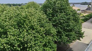 Uitzicht vanuit accommodatie