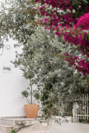 Pintu masuk interior