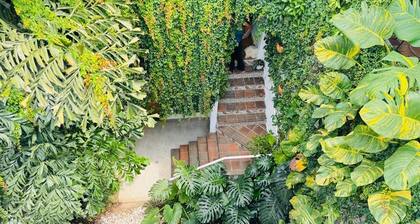 Muguet House Granada