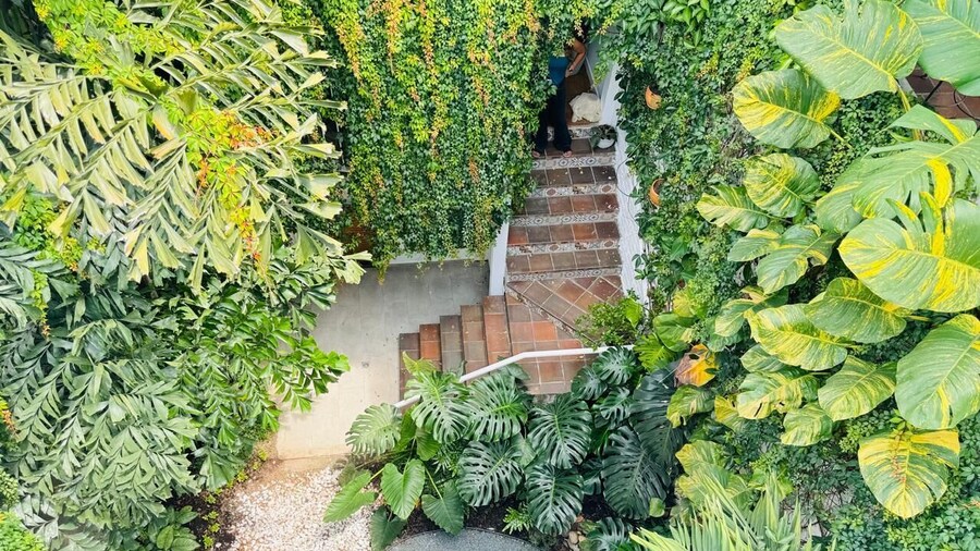 Muguet House Granada