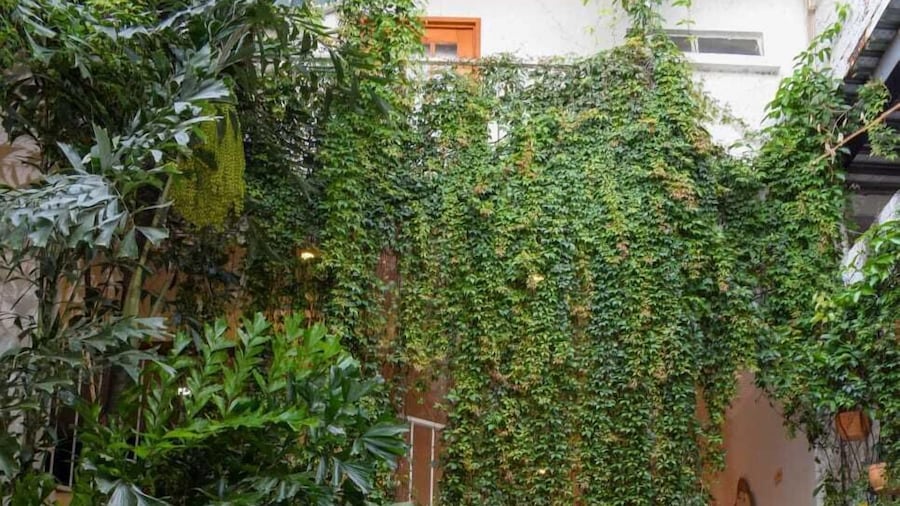 Muguet House Granada