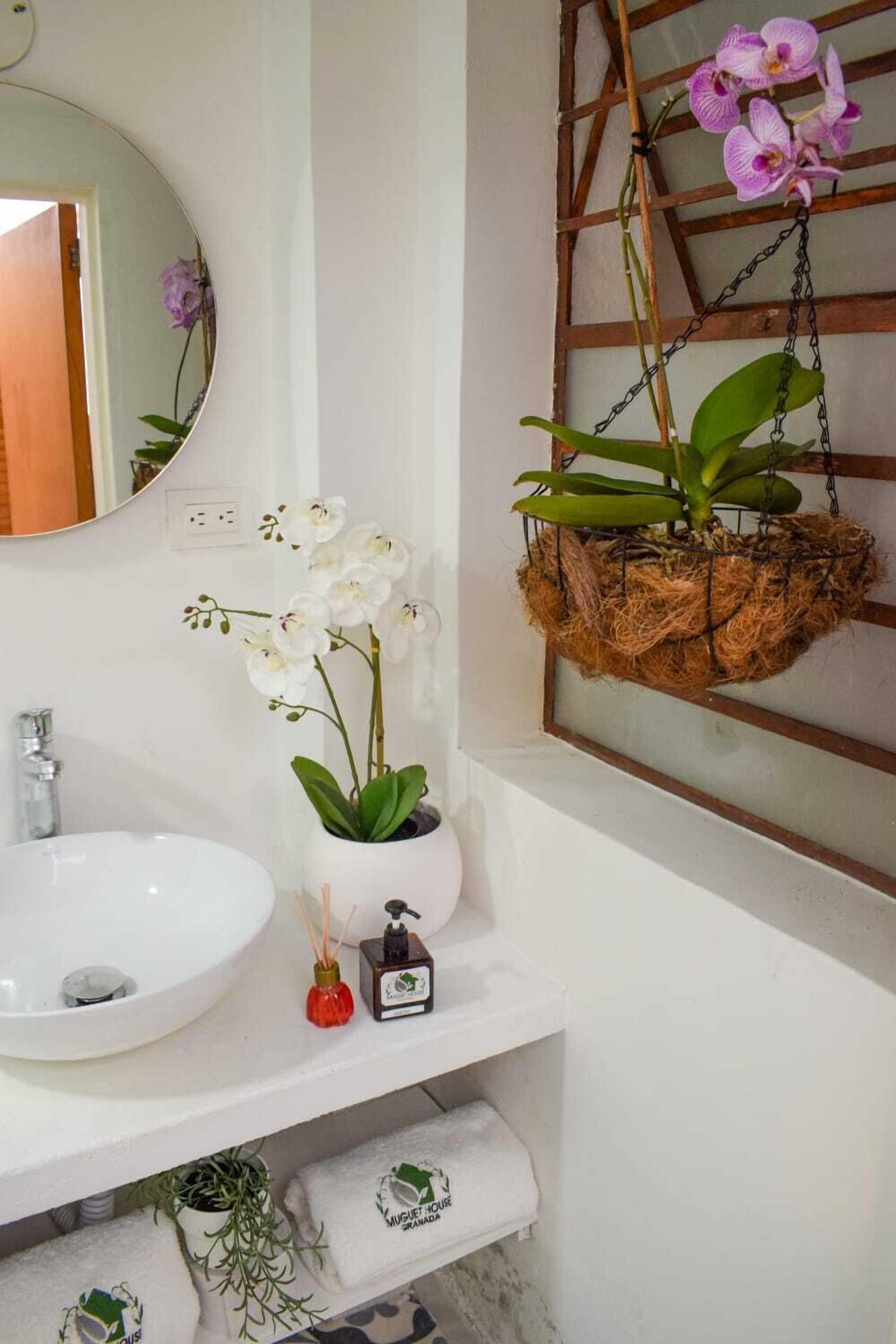 Foto - Muguet House Granada