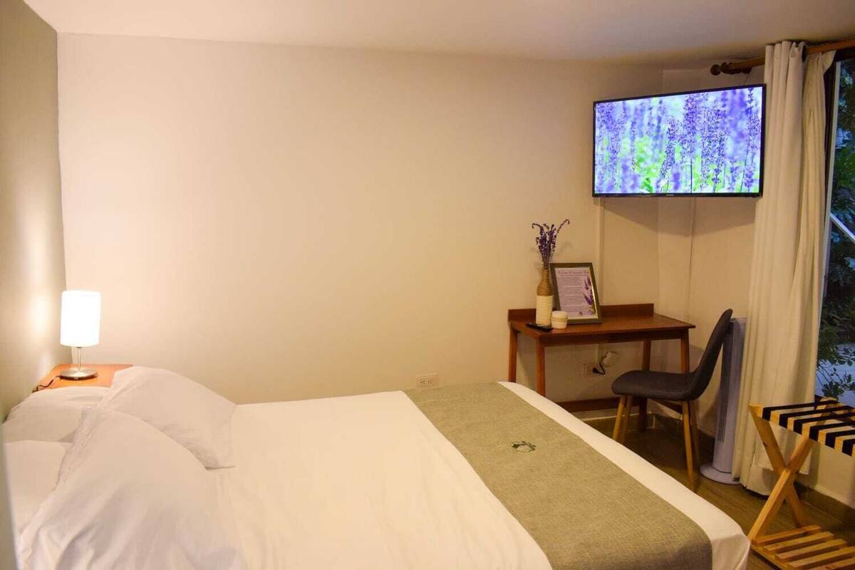 A hotel room with a bed, a desk, a chair, a TV, and a window with curtains.