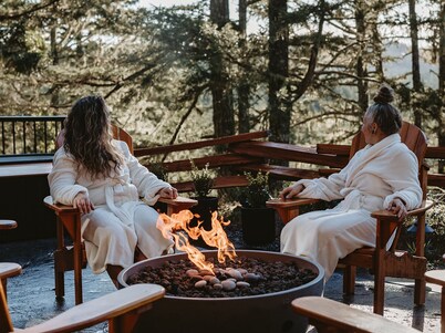 Smoky Mountain Retreat-The Forest Cabin. 
Pet Friendly!