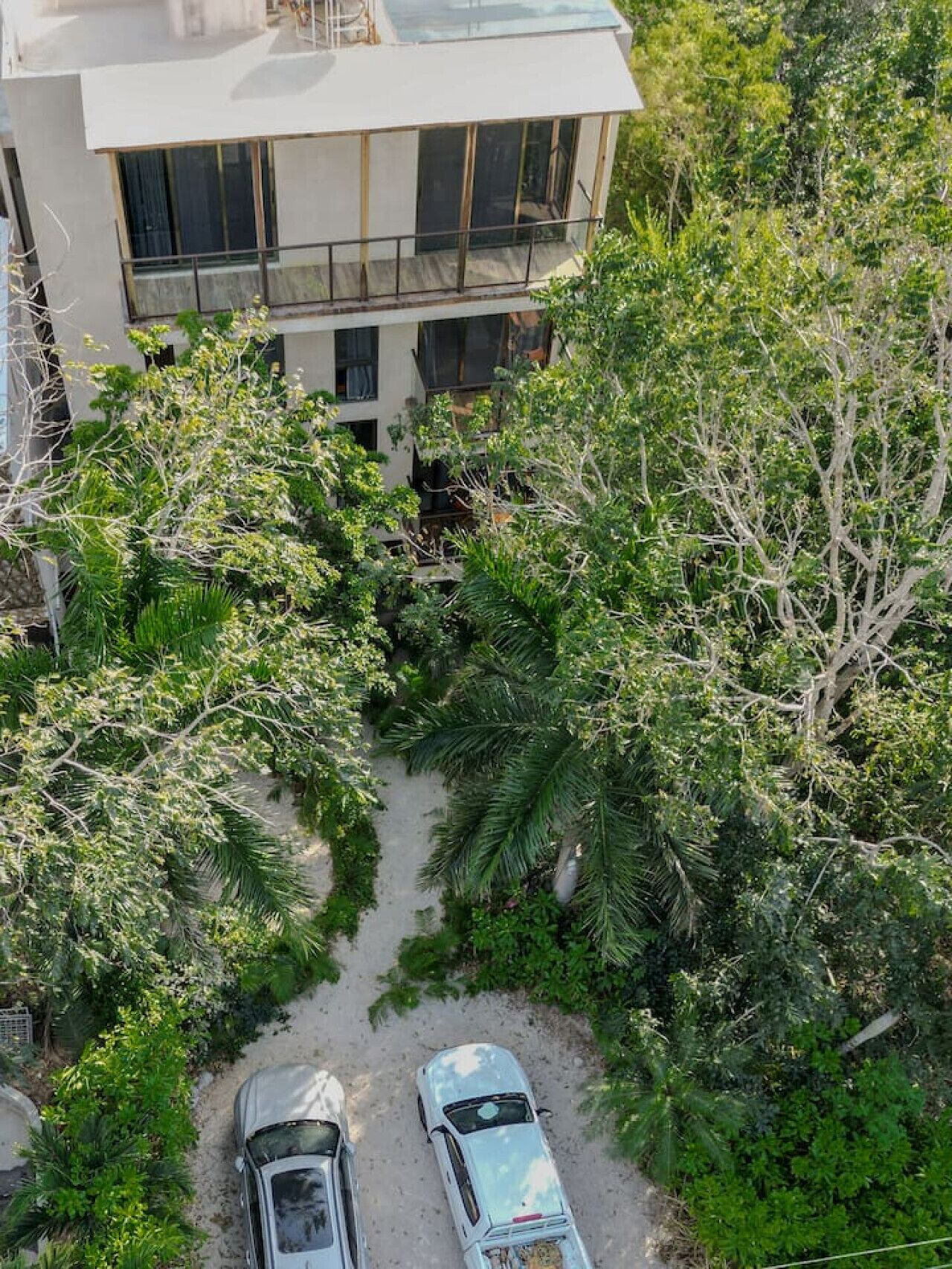 Une vue aérienne d’un bâtiment moderne, avec deux voitures garées devant, le tout entouré d’une végétation luxuriante.