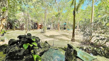 Àrea exterior de l'allotjament