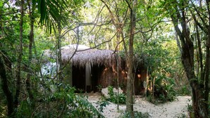 Une construction à toit de chaume, entourée d’une végétation luxuriante et bordée d’un sentier sablonneux.