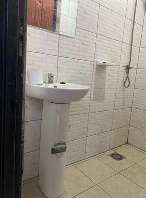 Hair dryer