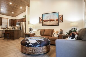 TV, fireplace, books