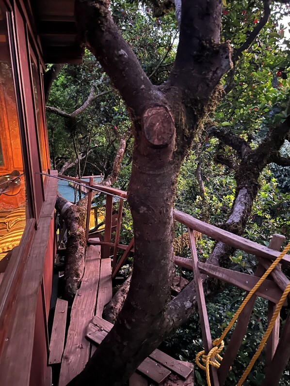 Property grounds - Treedom Treehouse Eco-Restoration getaway in the Jungles of South India (Kadumane)