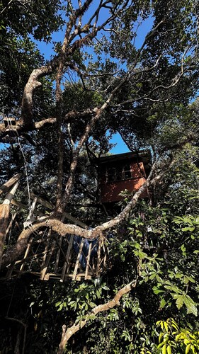 Treedom Treehouse Eco-Restoration getaway in the Jungles of South India