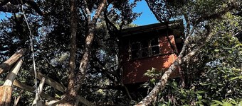 Treedom Treehouse Eco-Restoration getaway in the Jungles of South India