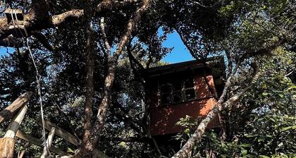 Treedom Treehouse Eco-Restoration getaway in the Jungles of South India