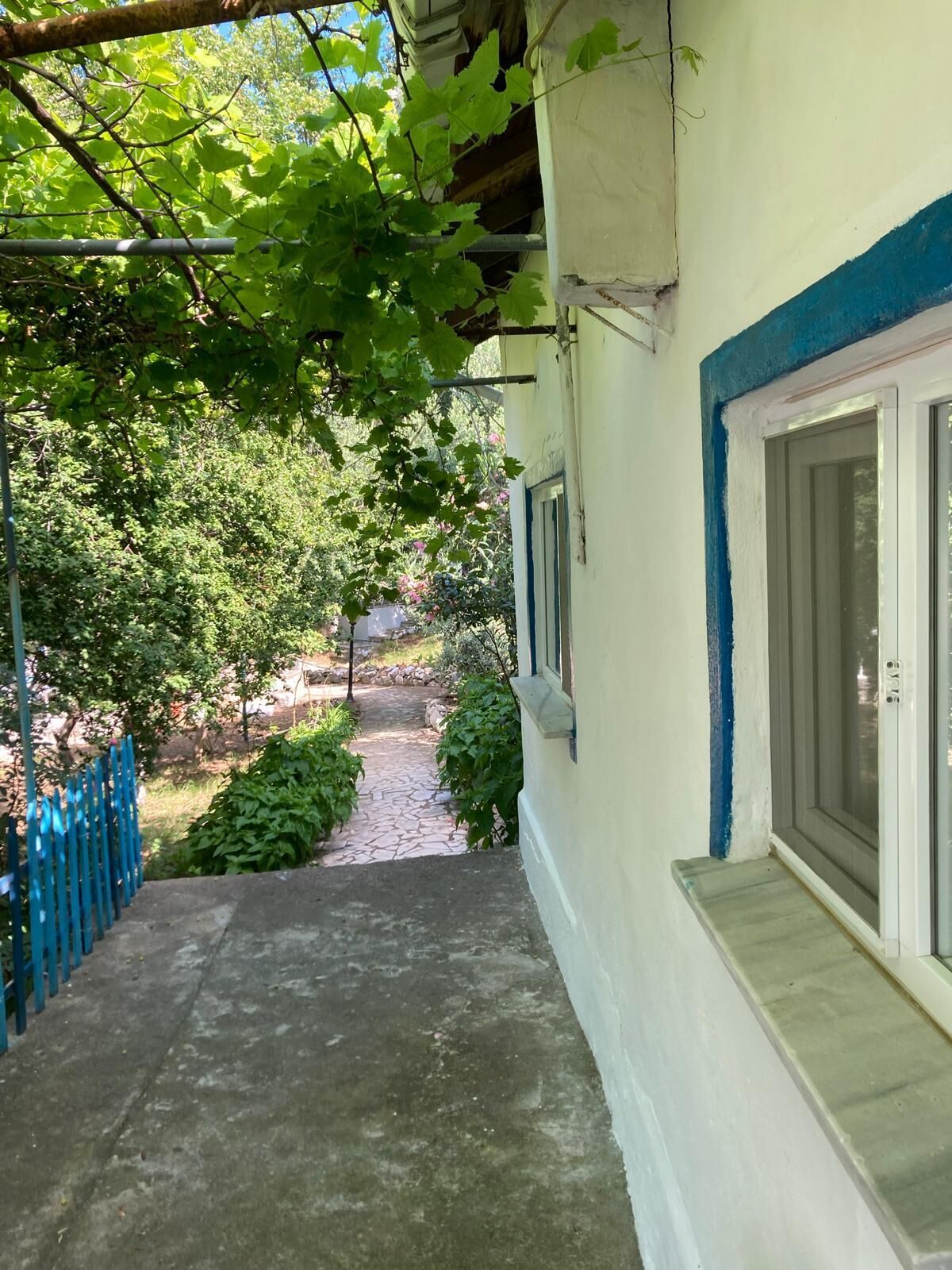 A narrow pathway leading to a building with a blue trim and a window with a metal grill.