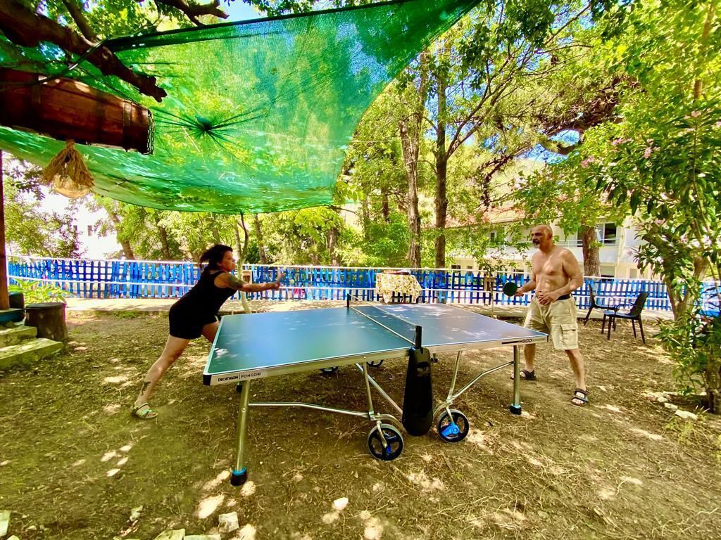 An outdoor table tennis setup with a net and a table, surrounded by trees and a blue fence.