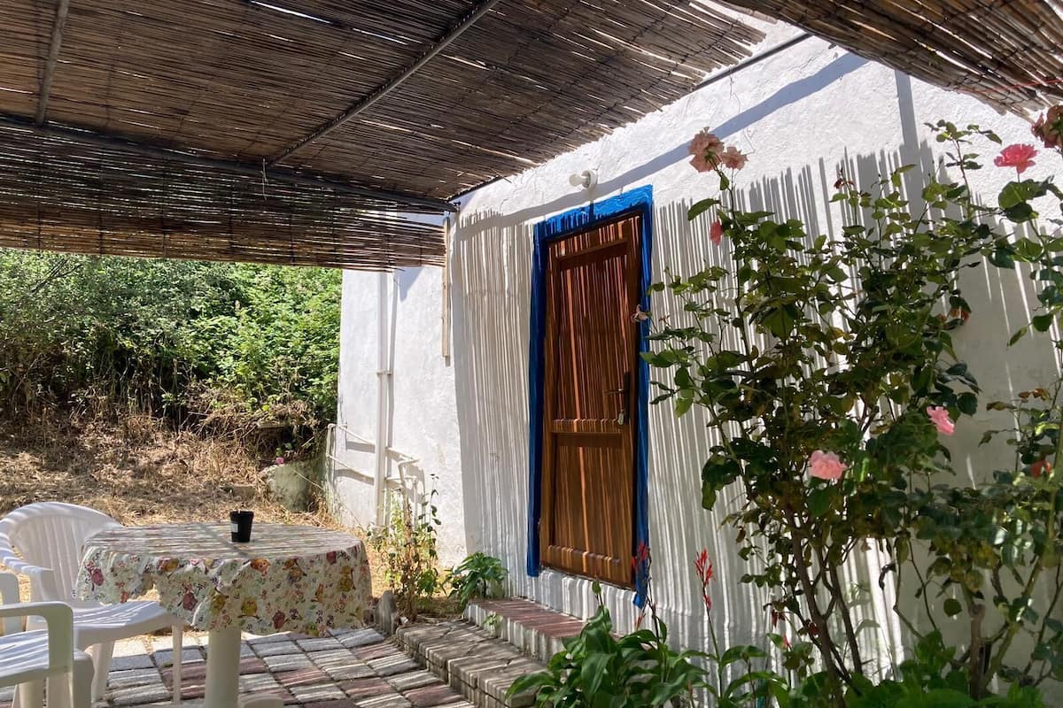 A covered patio area with a table and chairs, a wooden door, and a white wall with a blue window frame.