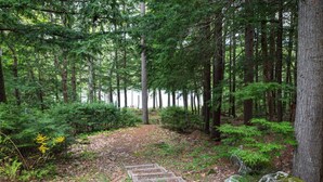 A forest path with wooden steps leading into the woods. - Belgrade Lake house with Dock! (Rome)
