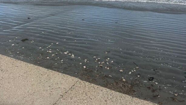 A beach with waves, a cloudy sky, and a distant shoreline. - Swampscott! Walk Dtwn and beach (Swampscott)