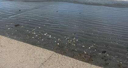 Swampscott! Walk Dtwn and beach