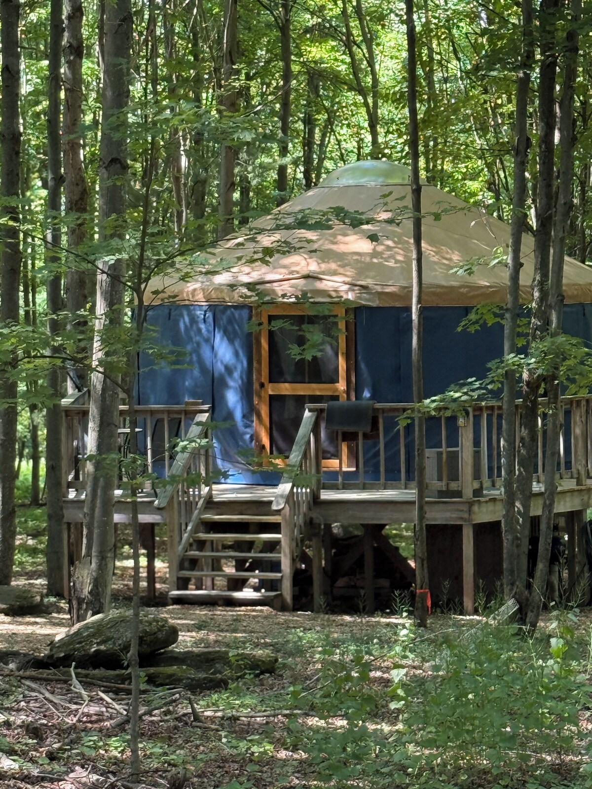 Image de profil de l’hôte