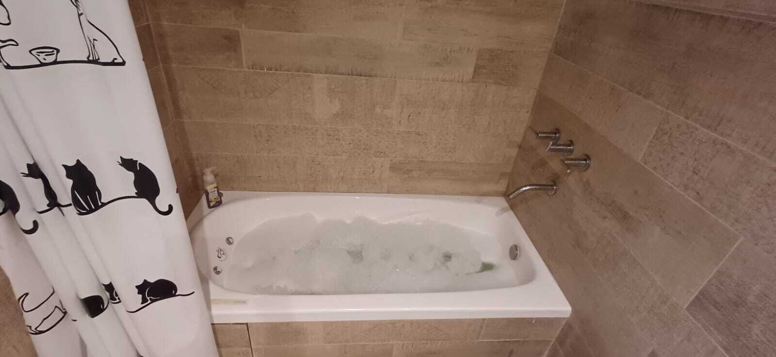 Jetted bath, hair dryer, bidet, towels