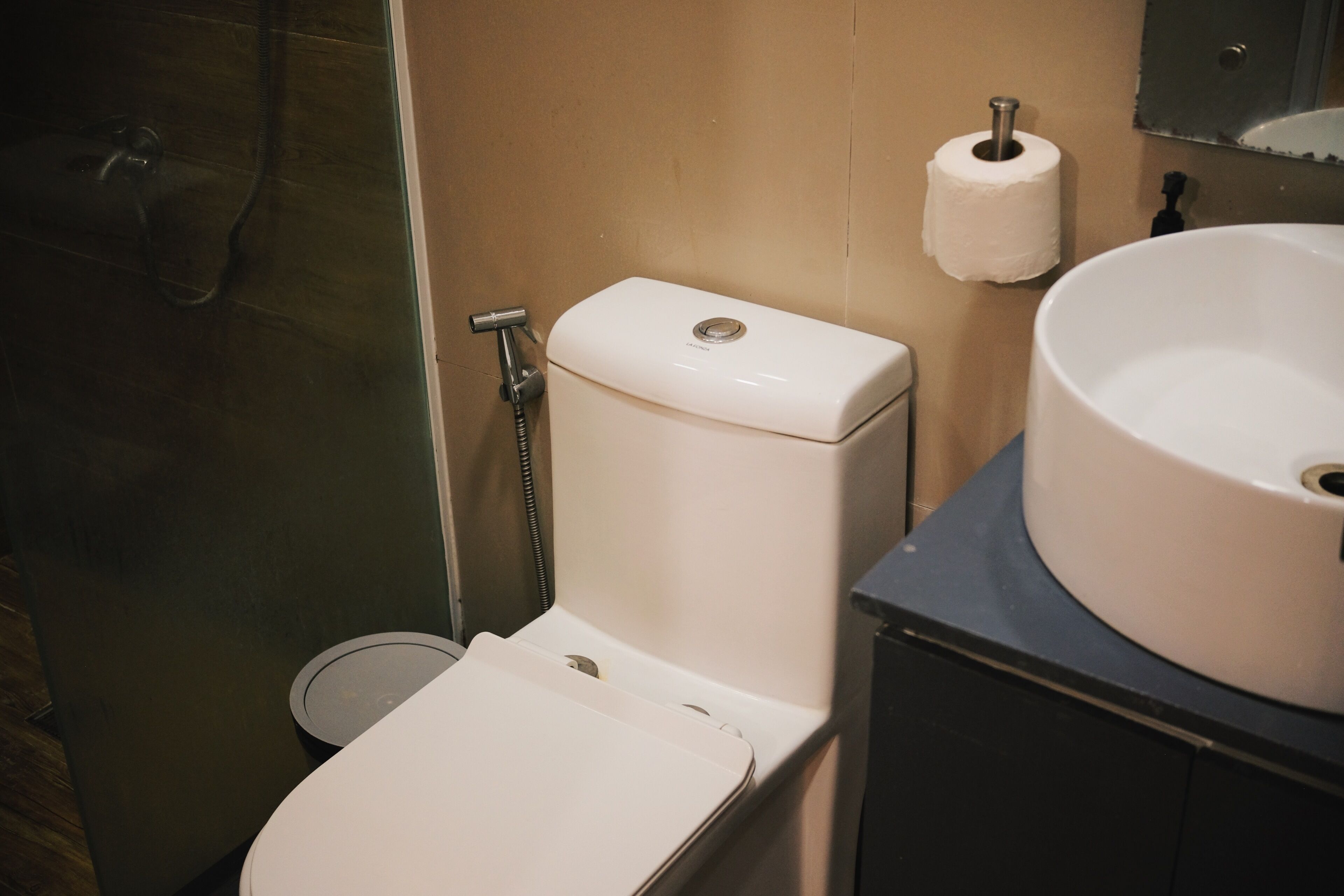 A bathroom with a toilet, a sink, and a shower.
