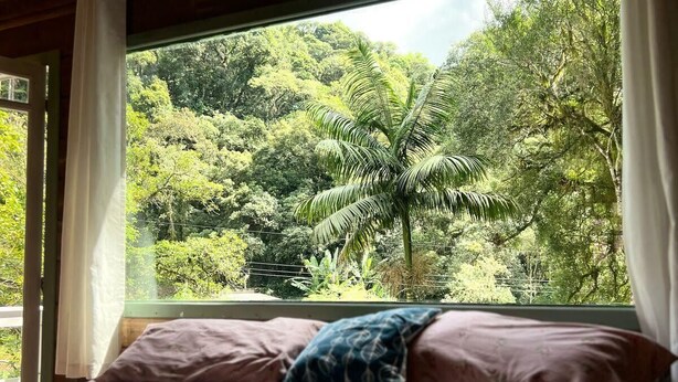 A bed with a view of lush greenery through a window. - Comfort of nature (Aguas mornas)
