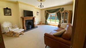Una sala de estar con chimenea, televisor, sofá y sillón.