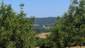 Ein Schwimmbecken mit freiem Blick auf eine ländliche Landschaft, einschließlich Bäume und weit entfernte Gebäude.