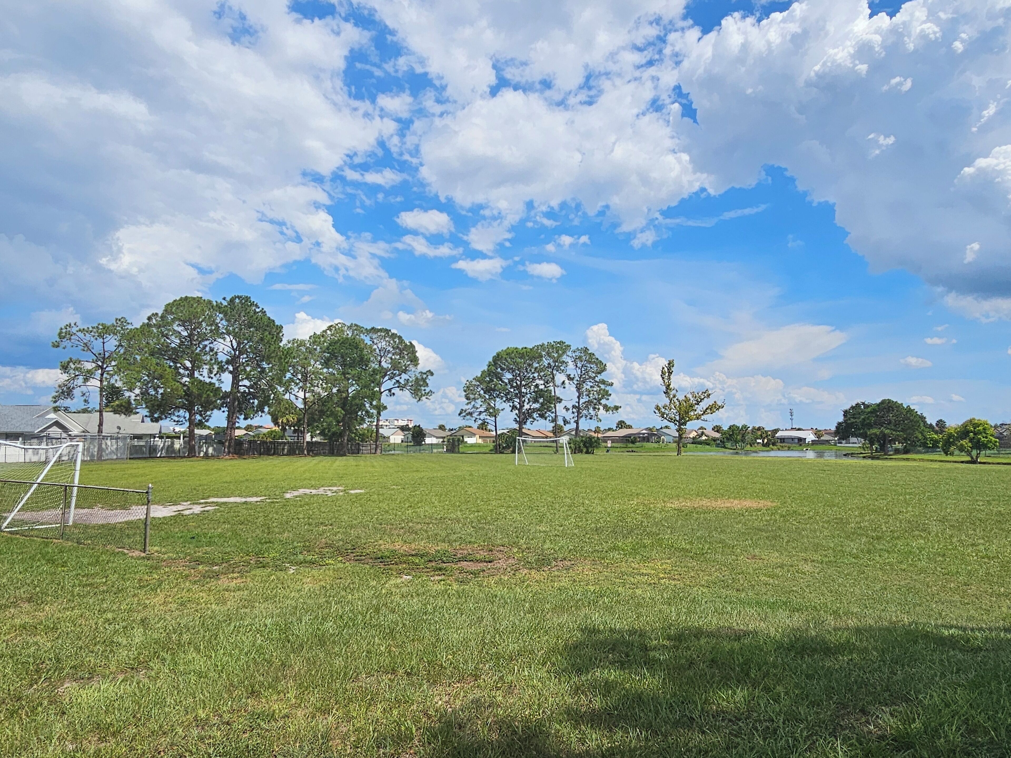 A grassy field with a soccer goal, trees, and houses in the background.