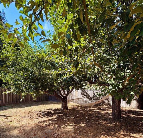 Charming NEW studio with AC and private yard in tranquil Sebastopol