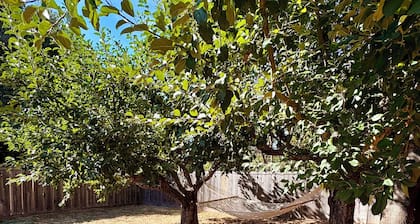 Charming NEW studio with AC and private yard in tranquil Sebastopol