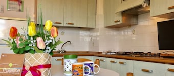 Seaside Apartment in Rosolina Mare