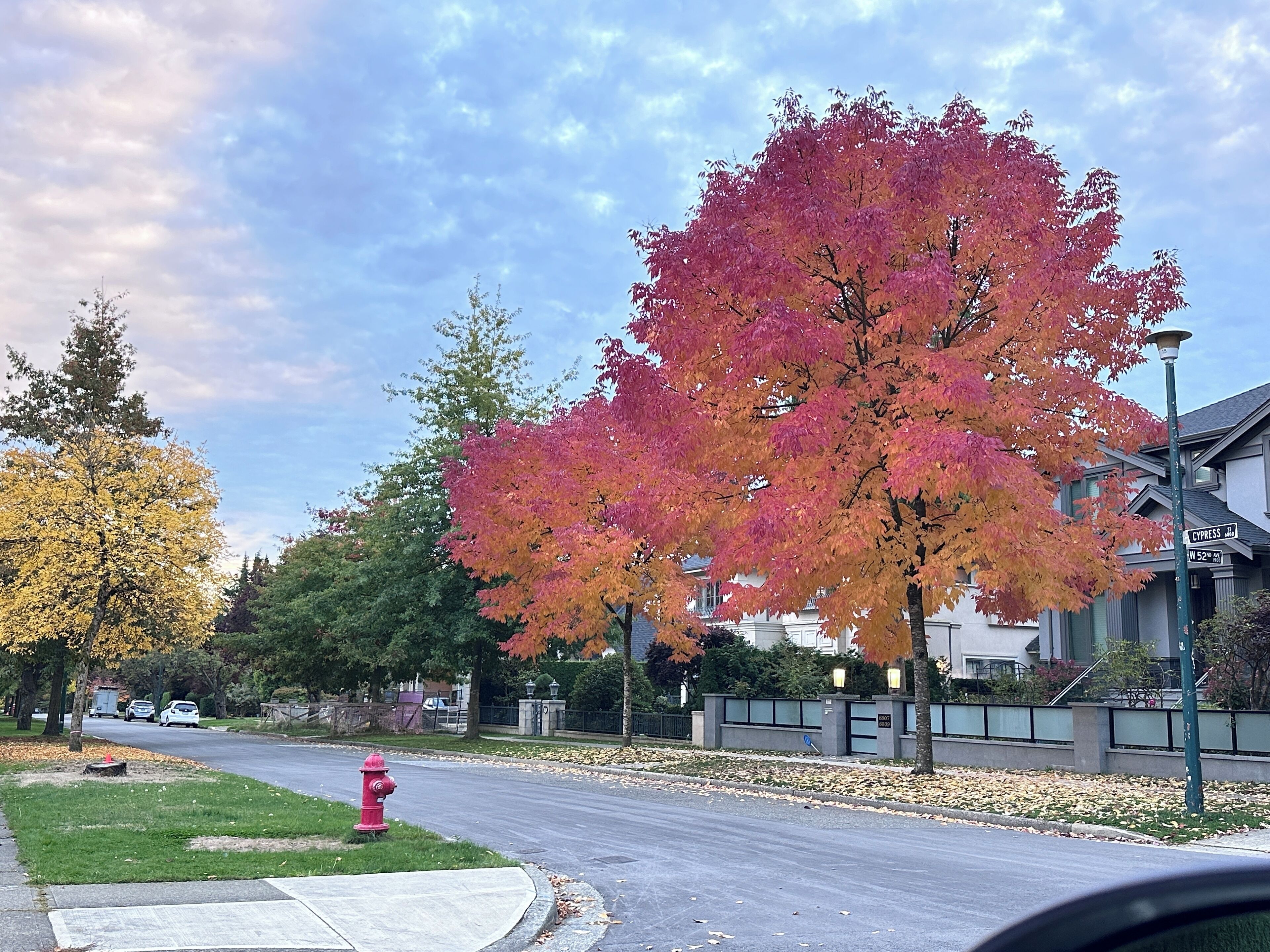 A residential street with autumn foliage, a red fire hydrant, and houses with a gated entrance.