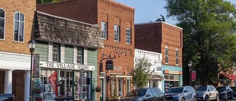 A street with buildings, including a store named 'The Village Store' and a gallery.