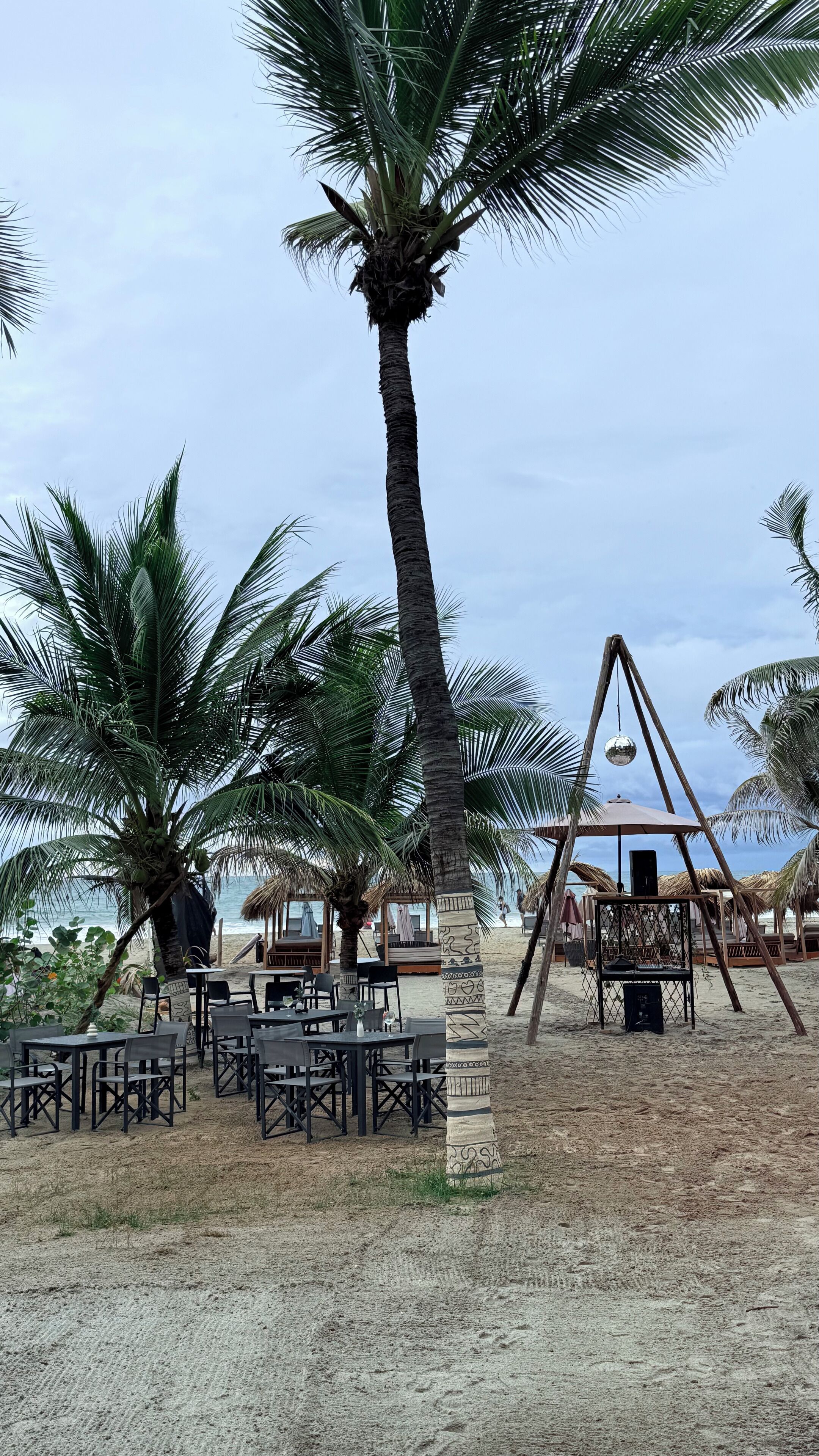 Zona en la playa con palmeras, mobiliario exterior y un columpio.