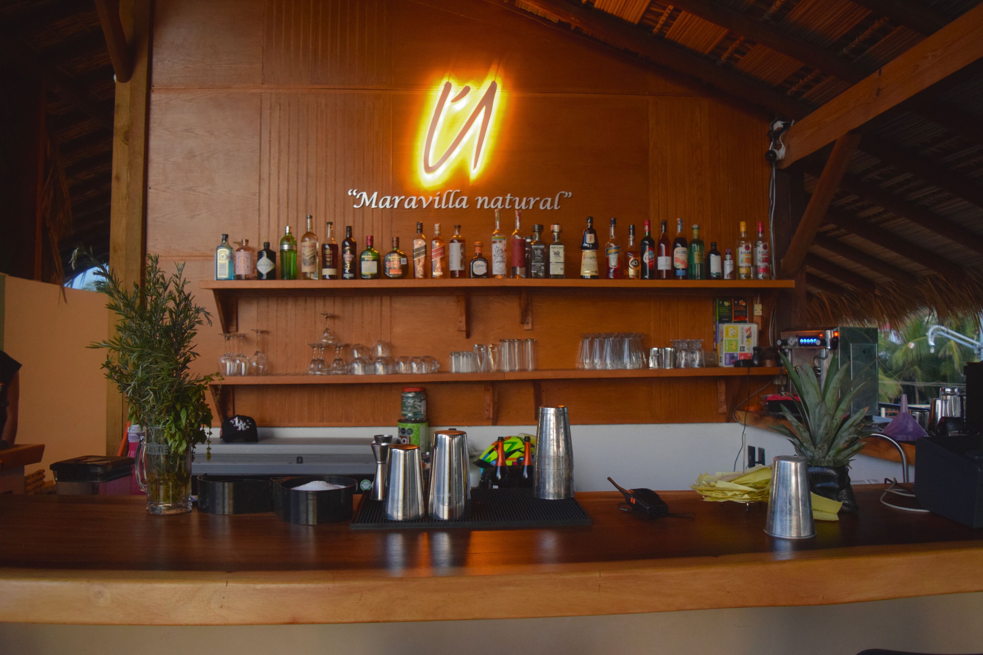 A bar area with a wooden ceiling and shelves stocked with various liquor bottles and glasses.
