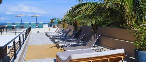 A rooftop terrace with sun loungers, a palm tree, and a view of the ocean.