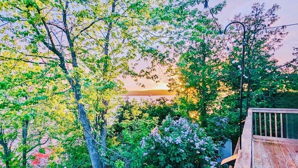 Una terraza de madera con vistas a un atardecer sobre una masa de agua, rodeada de abundante vegetación y árboles.
