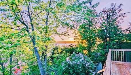 Property grounds. Waterfront Cottage | Steps to Dominion Park Beach & minutes to Uptown Saint John