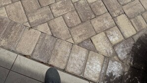 A close-up of a brick pavement with a person's foot visible. - Chic apartment in cool Huntington with AC, fitness room. Private bathroom. (Huntington)
