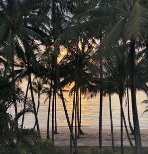 Beach - Tropical Escapes Palm Cove - Complete Ocean Front Apartment (Palm Cove)