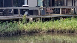 A two-story house with a dock extending over a body of water, surrounded by tall grass. - Bring Your Boat-Waterfront Bungalow- On River Time! (Crystal River)