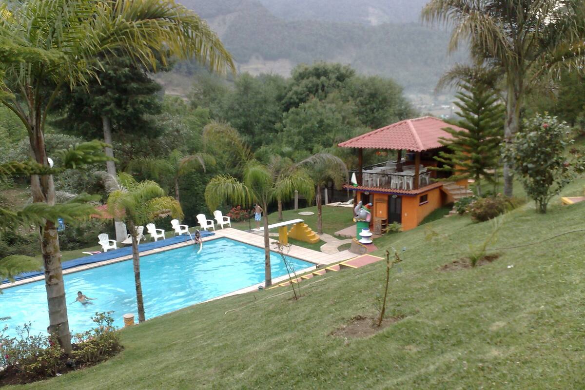 A swimming pool with lounge chairs, a small building with a red roof, and surrounding greenery.