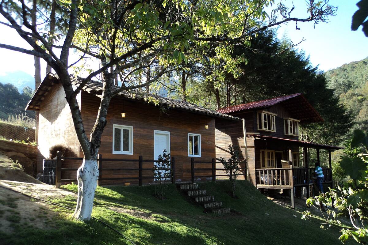 A wooden cabin with a porch, surrounded by trees and a grassy area.