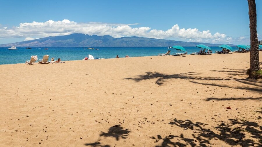 Yonegan Central Maui Getaways